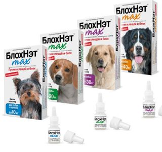 БлохНэт max для борьбы с эктопаразитами собак